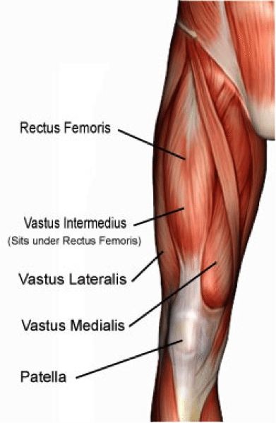 quadriceps-hockey