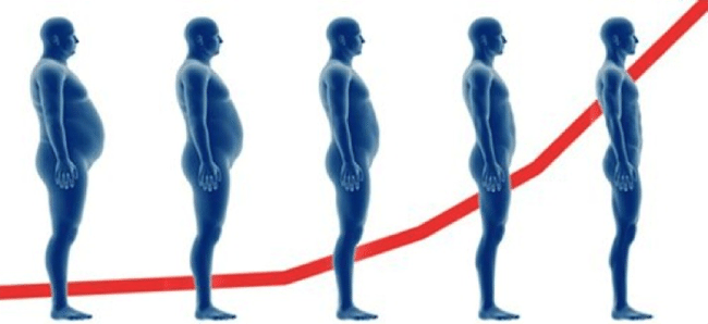 body-composition-testosterone