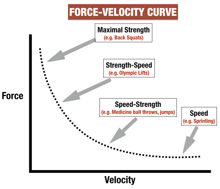 Force Velocity Curve