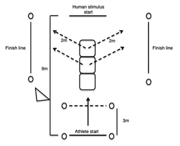 Reactive Agility Test