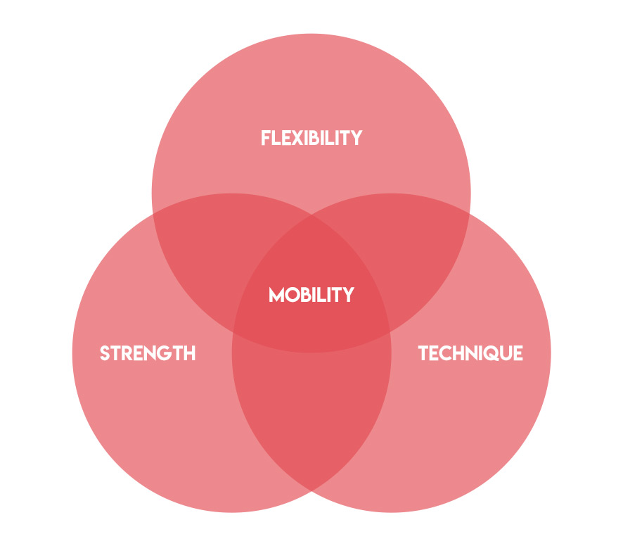 Hockey Mobility Venn Diagram